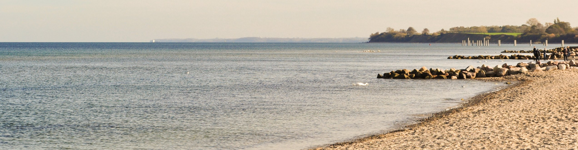 Meer