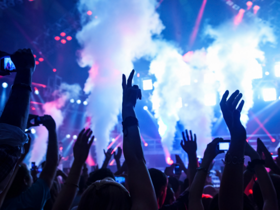 Feierende Personen bei einem Konzert