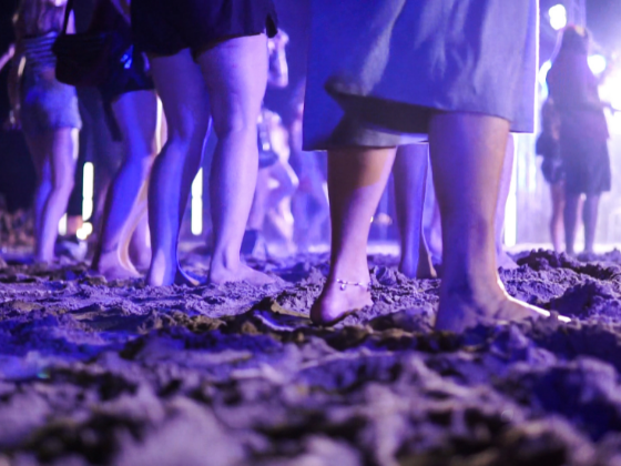 Stars am Strand